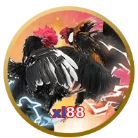 xi88
